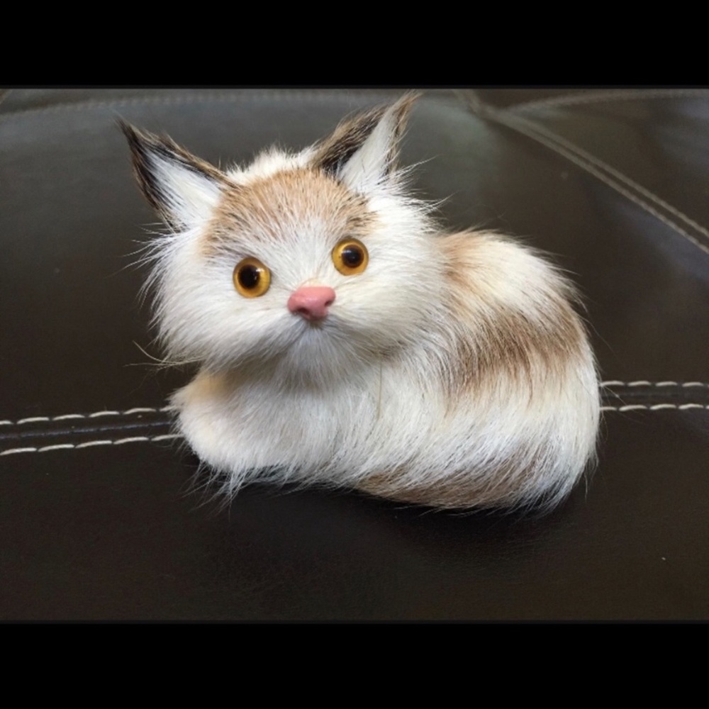 Cat collection - Picture 7 of 7